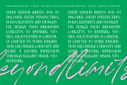 Matrixgi High-Contrast Decorative, a Serif Font by timelesstype.co (Thumbnail 2 of 10)