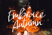 Embrace Autumn, a Script Font by chekart (Thumbnail 1 of 7)