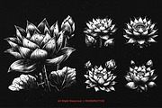 10 Bundle Dark Art Lotus Flower, an Illustration by Morspective (Thumbnail 3 of 7)