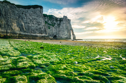 Magnificent mossy beach