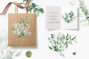 Scent Of Eucalyptus - Graphic Set