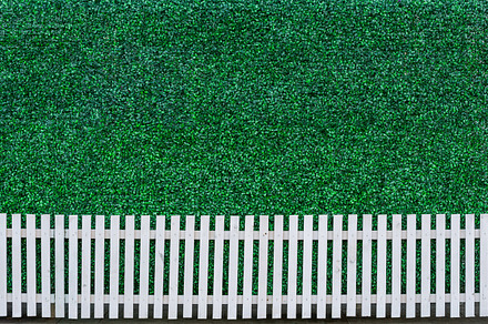 Fence and green leaf, a Background Photo by Smith Chetanachan