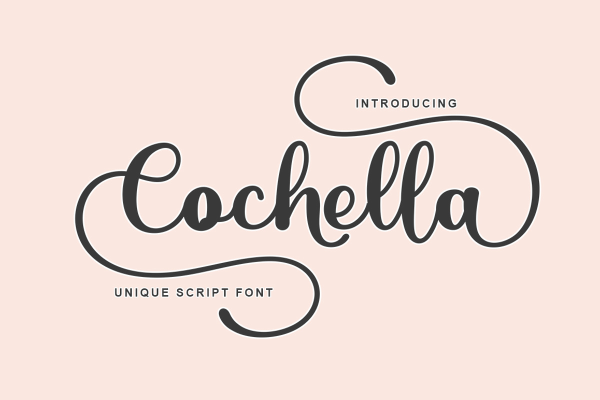 Cochella Family Font, a Script Font by Bosstype Studio (Photo 1 of 7)