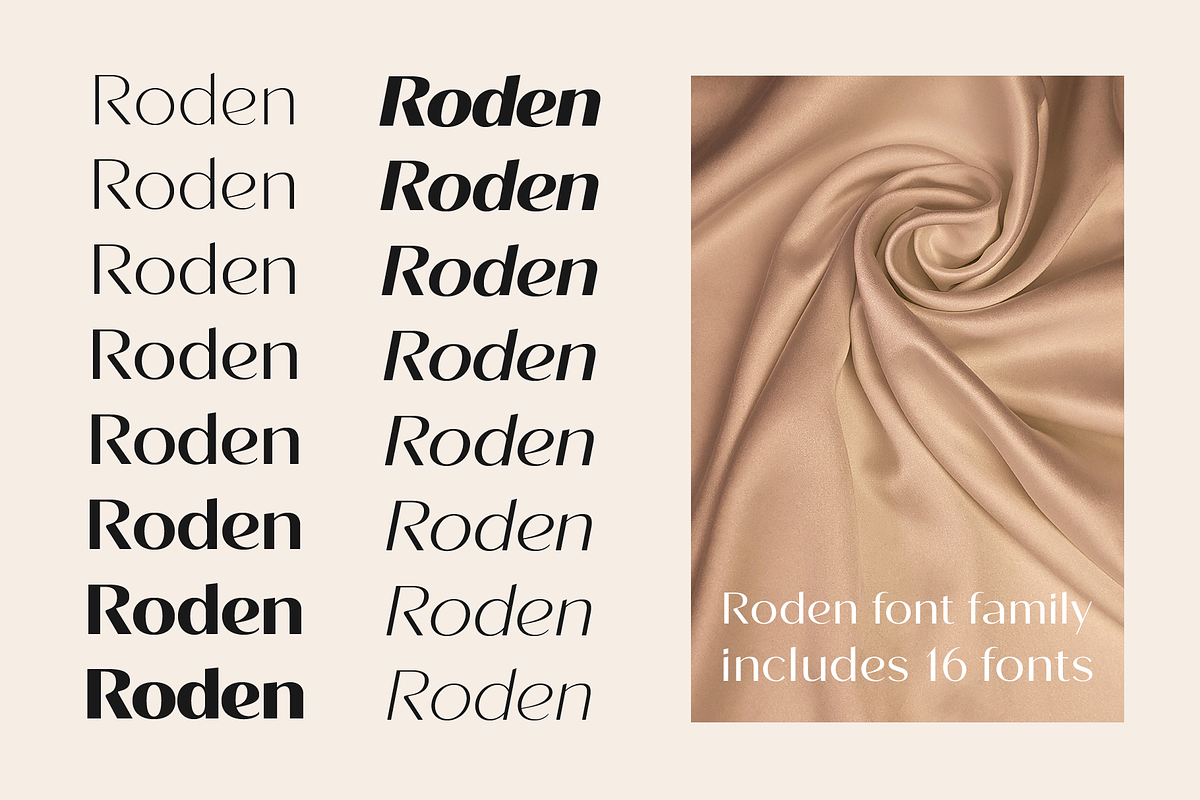 Roden, a Sans Serif Font by Larin Type Co. (Photo 3 of 15)