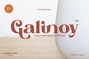 Galinoy - Bold Modern Serif Display, a Serif Font by Qweera Studio (Thumbnail 1 of 12)