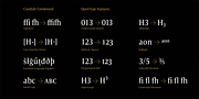 Candide Condensed, a Serif Font by Hoftype (Thumbnail 10 of 10)