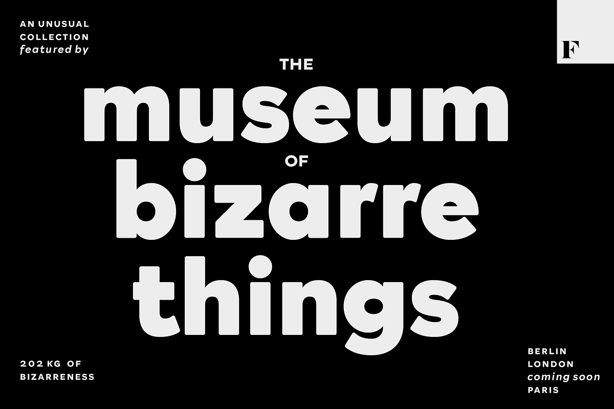 Rockford Geometric Sans Serif, a Sans Serif Font by Fenotype (Photo 2 of 11)