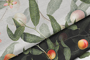 Vintage Peach Botanical Graphics #02, an Object Illustration by Olga Begak Art & Design (Thumbnail 5 of 8)
