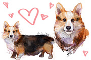 Set corgi dog fineart .6 styles, an Animal Illustration by art_mouse (Thumbnail 6 of 7)