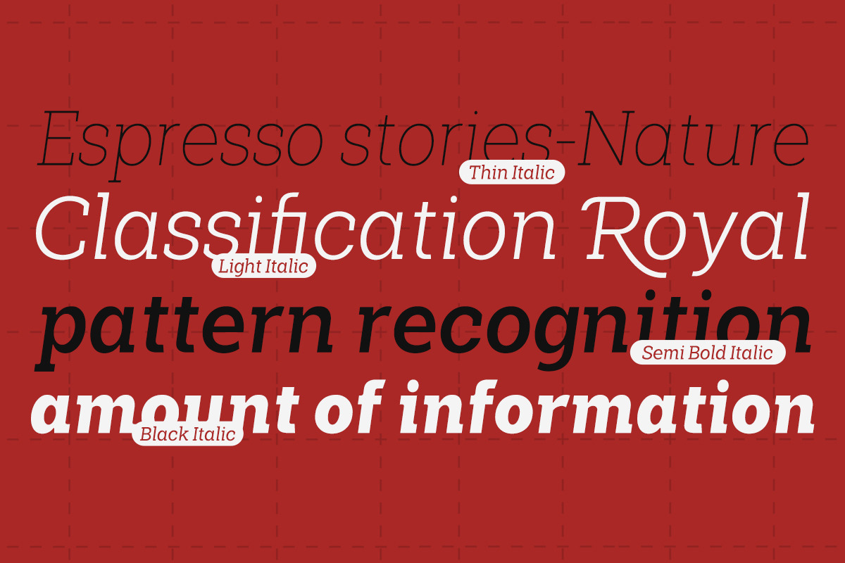 Shemekia, a Slab Serif Font by Areatype (Photo 12 of 15)
