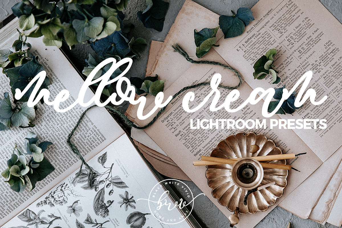 EPIC LIGHTROOM PRESET BUNDLE preview 5
