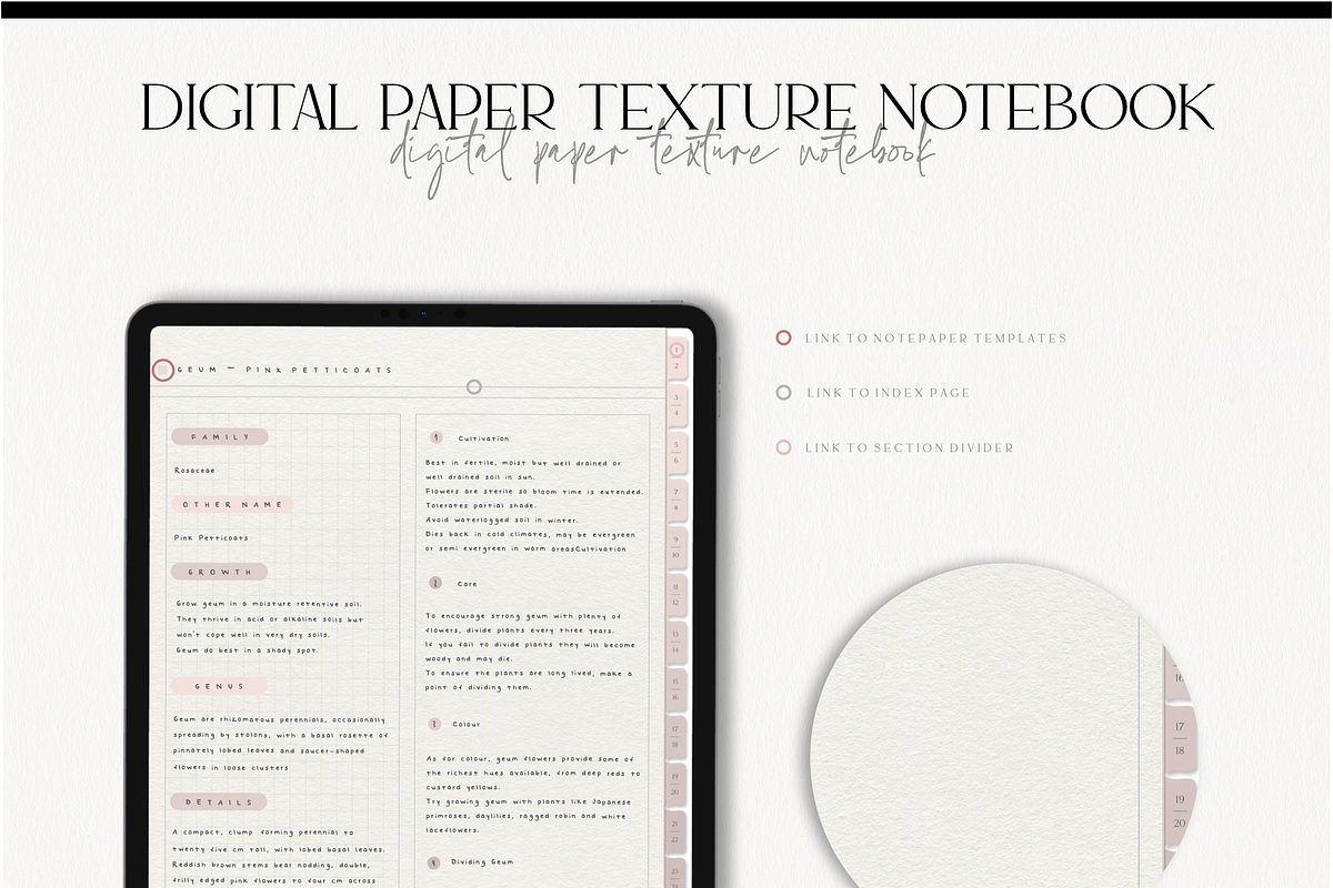Digital Rose Paper Texture Notebook, a Stationery Template by MainichiDesign (Photo 2 of 8)