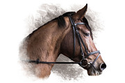 Portrait of a Horse II, an Animal Illustration by Digital Art Downloads (Thumbnail 2 of 4)