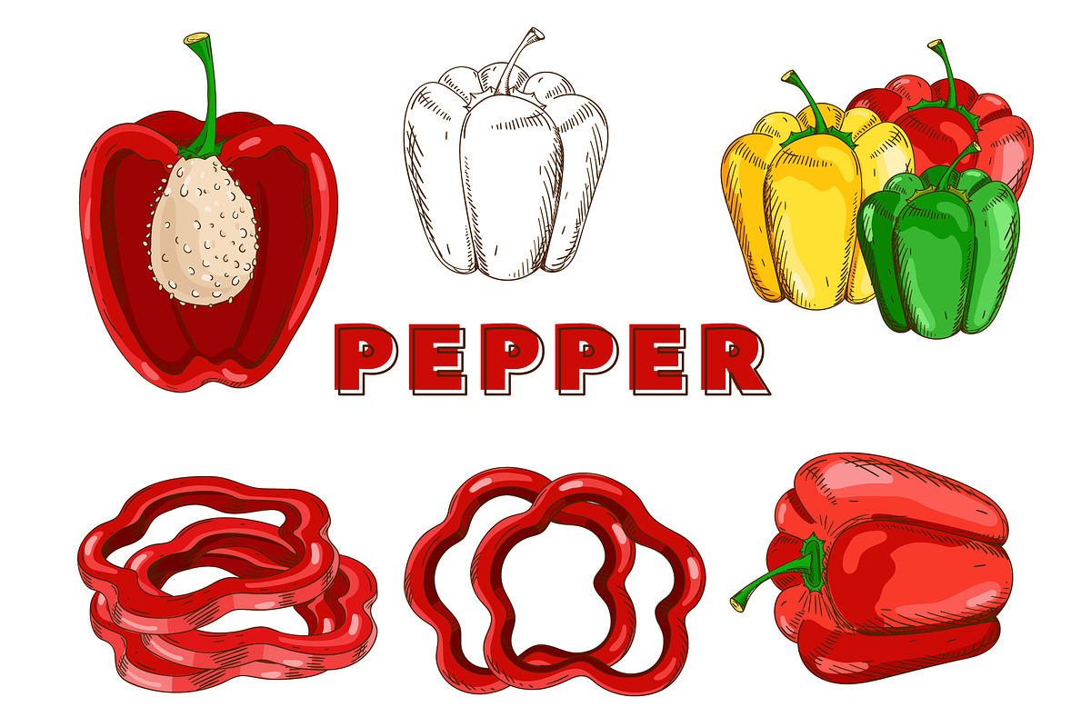 Vegetables in the Vintage Style, a Healthcare Illustration by Alfazet Chronicles (Photo 6 of 15)
