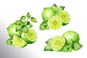 Lime citrus. Watercolor collection, a Food Illustration by Daria Ustiugova (Thumbnail 7 of 21)