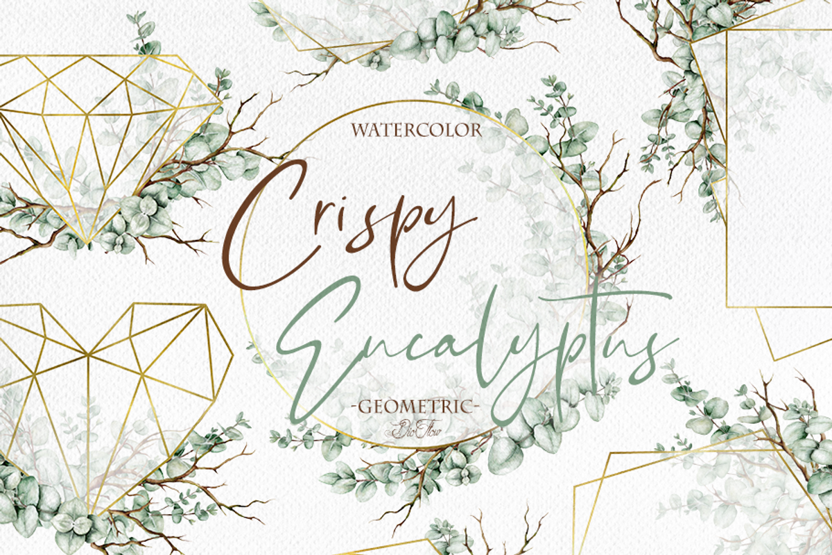 Crispy Eucalyptus Illustration, an Illustration by DioFlow (Photo 1 of 5)