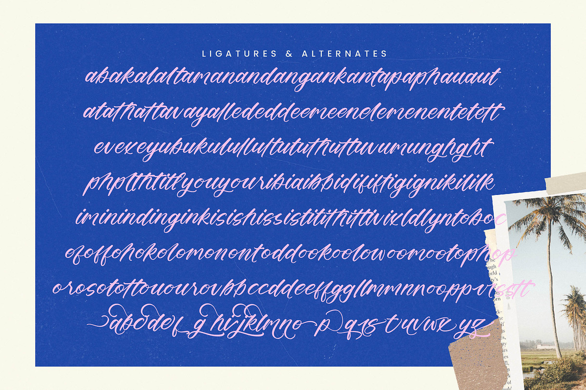 Delighta Modern Handwritten Font, a Script Font by stylishtype.co (Photo 14 of 15)