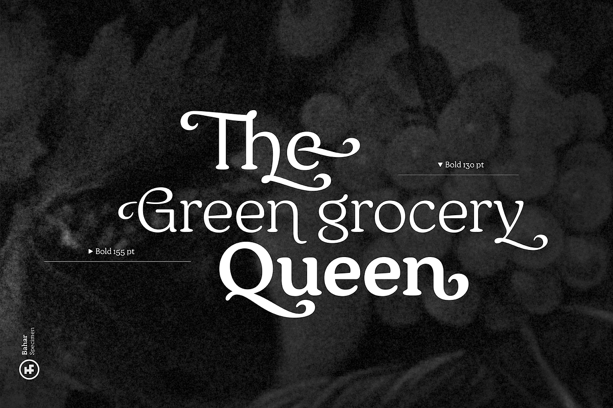 Bahar Serif, a Serif Font by Hurufatfont (Photo 2 of 16)