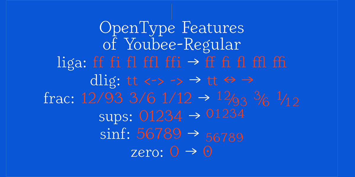 Youbee, a Serif Font by Ingrimayne Type (Photo 11 of 12)