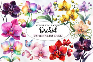 Watercolor Orchid Clipart, an Illustration by Designworld