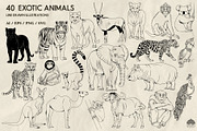 Exotic Animals Line Art + Procreate, an Illustration by Skliarova (Thumbnail 3 of 3)