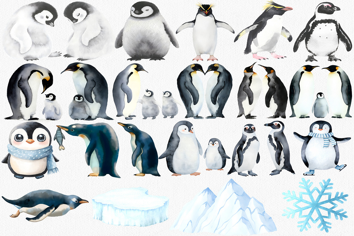 Watercolor Penguin Clipart Set, an Animal Illustration by CropUp Creative (Photo 3 of 4)