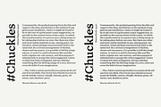 Maine -Book Antiqua Family, a Serif Font by Fenotype (Thumbnail 6 of 11)