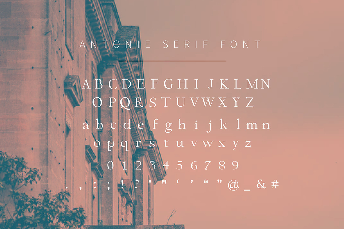 Antonie – Classic Serif Font, a Serif Font by Typefactoryco (Photo 2 of 6)