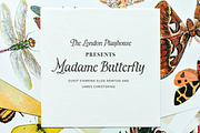 Fairytale Serif, a Font by Nicky Laatz (Thumbnail 2 of 13)