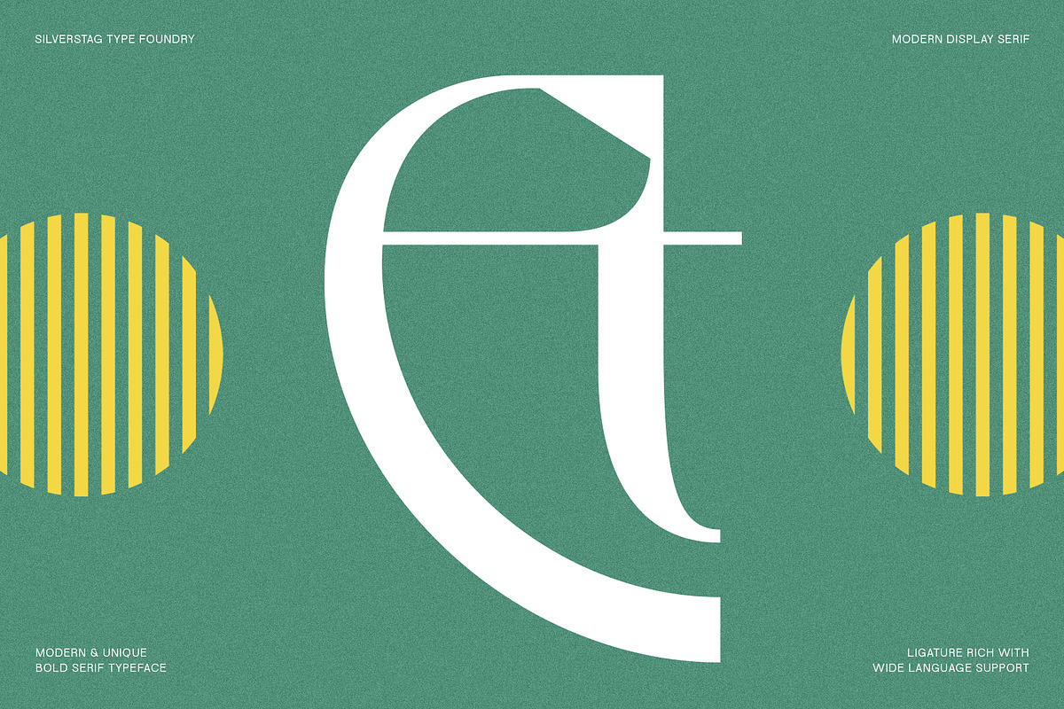 Tangled Rockaway Vintage Serif Font, a Serif Font by SilverStag Type Foundry (Photo 5 of 18)