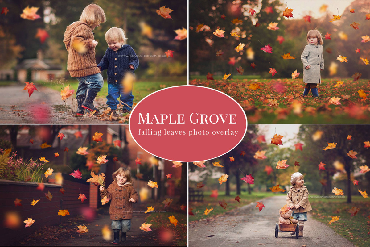 Maple Grove - falling leaves overlay