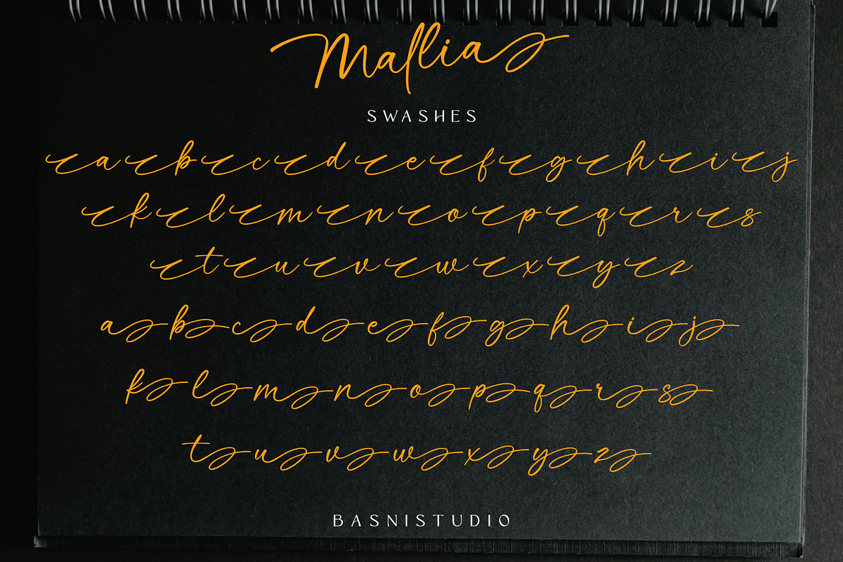 Mallia Handwritten Font, a Script Font by Basnistudio (Photo 10 of 11)