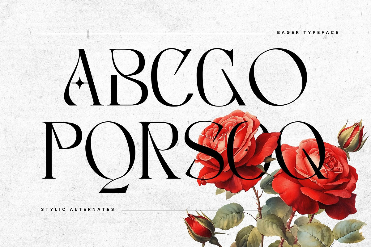 Bagek - Modern Display Serif, a Serif Font by Nirmana Visual (Photo 6 of 8)