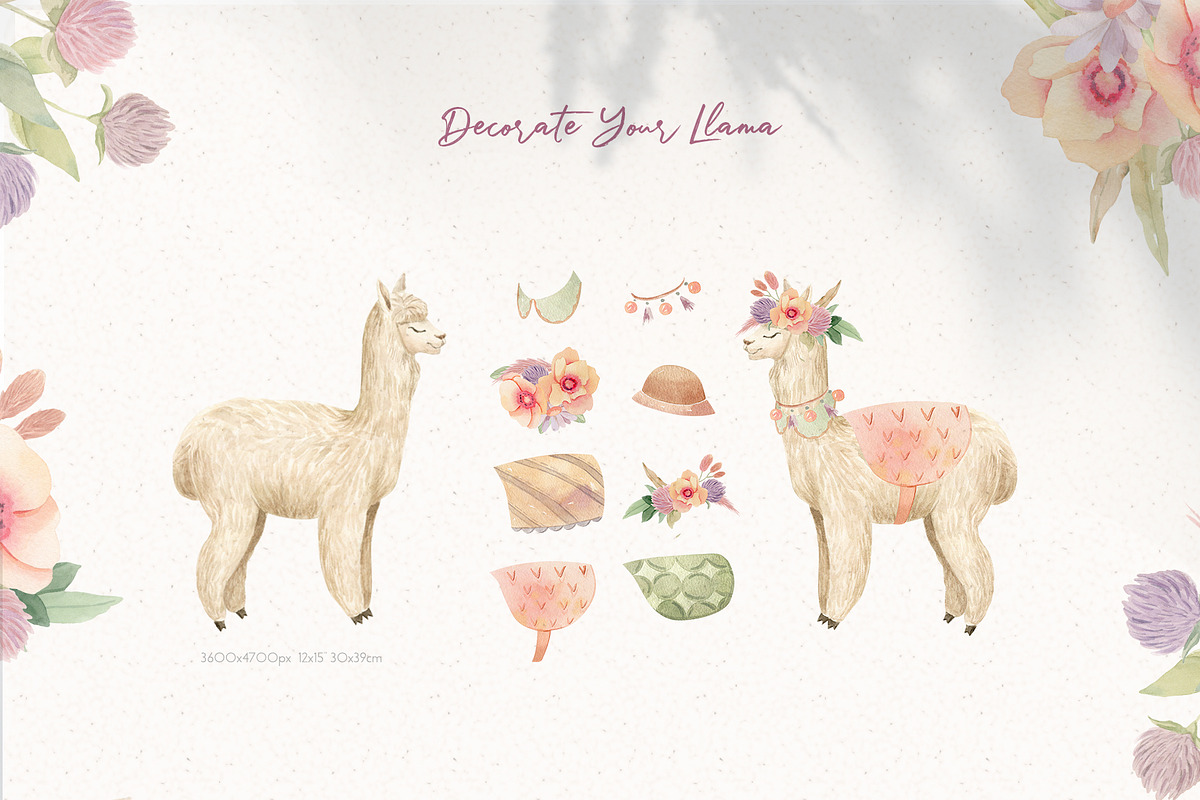 Llama Farm Watercolor Clipart, an Animal Illustration by Julia M. Watercolor (Photo 7 of 14)