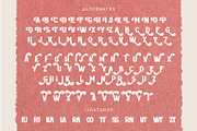ROTTELY - DISPLAY FONT, a Serif Font by din-studio.com (Thumbnail 10 of 11)