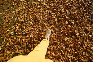 Bright yellow pants and white, a Nature Photo by darksoul72