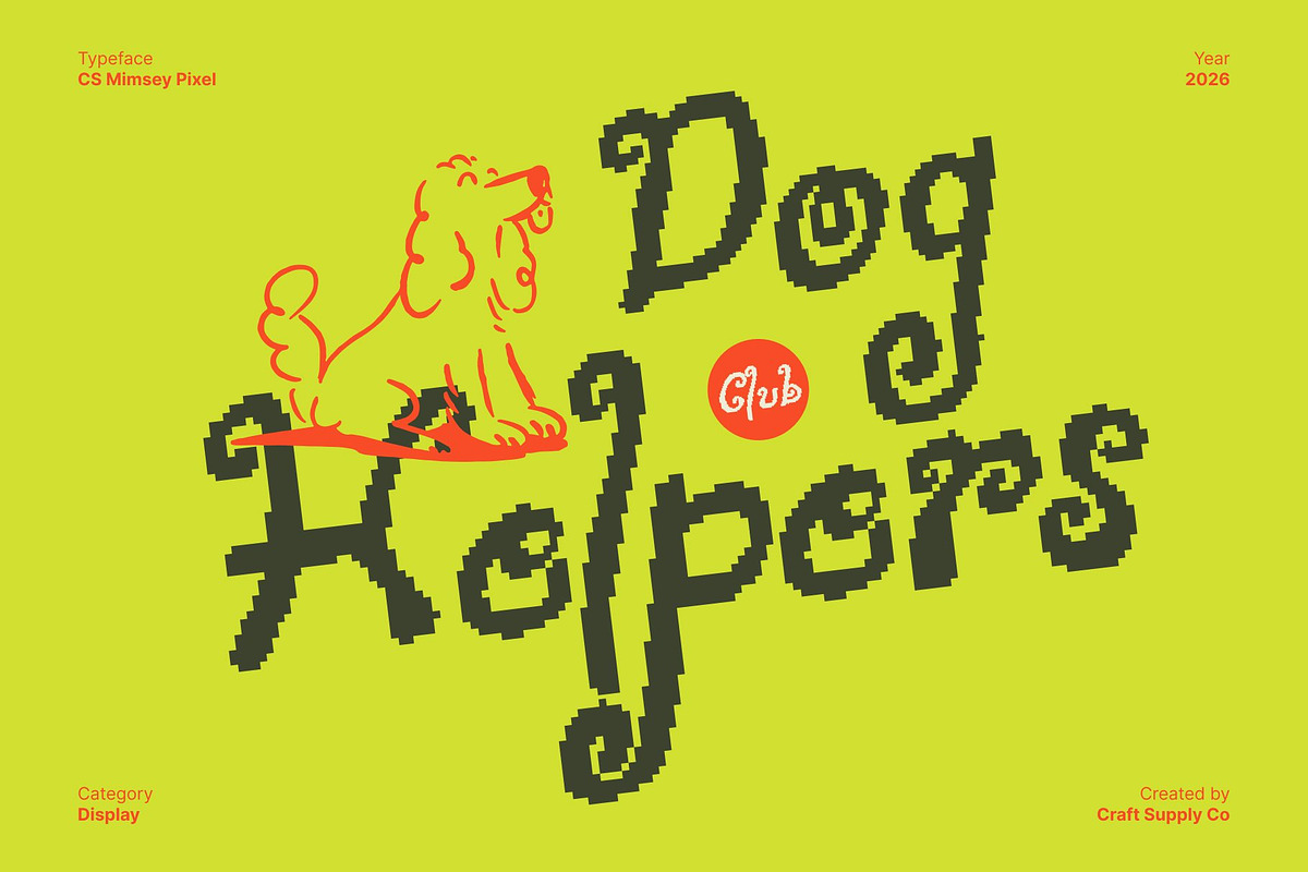 CS Mimsey Pixel, a Handwritten Font by Craft Supply Co. (Photo 7 of 8)