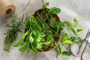 Fresh herbs from garden on rustic surface with scissors, a Food & Drink Photo by Olena Rudo
