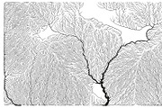 Growth - 50 Backgrounds, a Texture Graphic by GarryKillian (Thumbnail 2 of 51)
