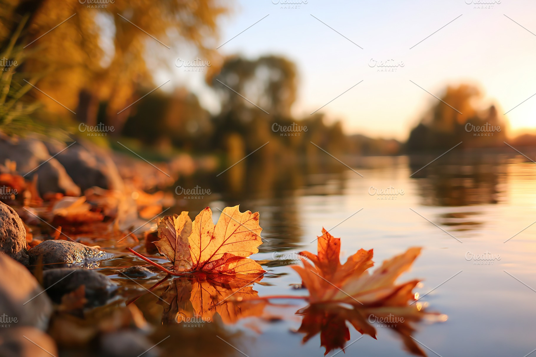 Colorful autumn leaves falling peacefully near a quiet river at dusk with warm, a Nature Photo by AlyaAnd