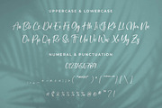 Newscript, a Script Font by Integritype Studio (Thumbnail 8 of 14)