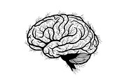 Brain Tree Knowledge Design Bundle, an Illustration by Gaye Art (Thumbnail 31 of 31)