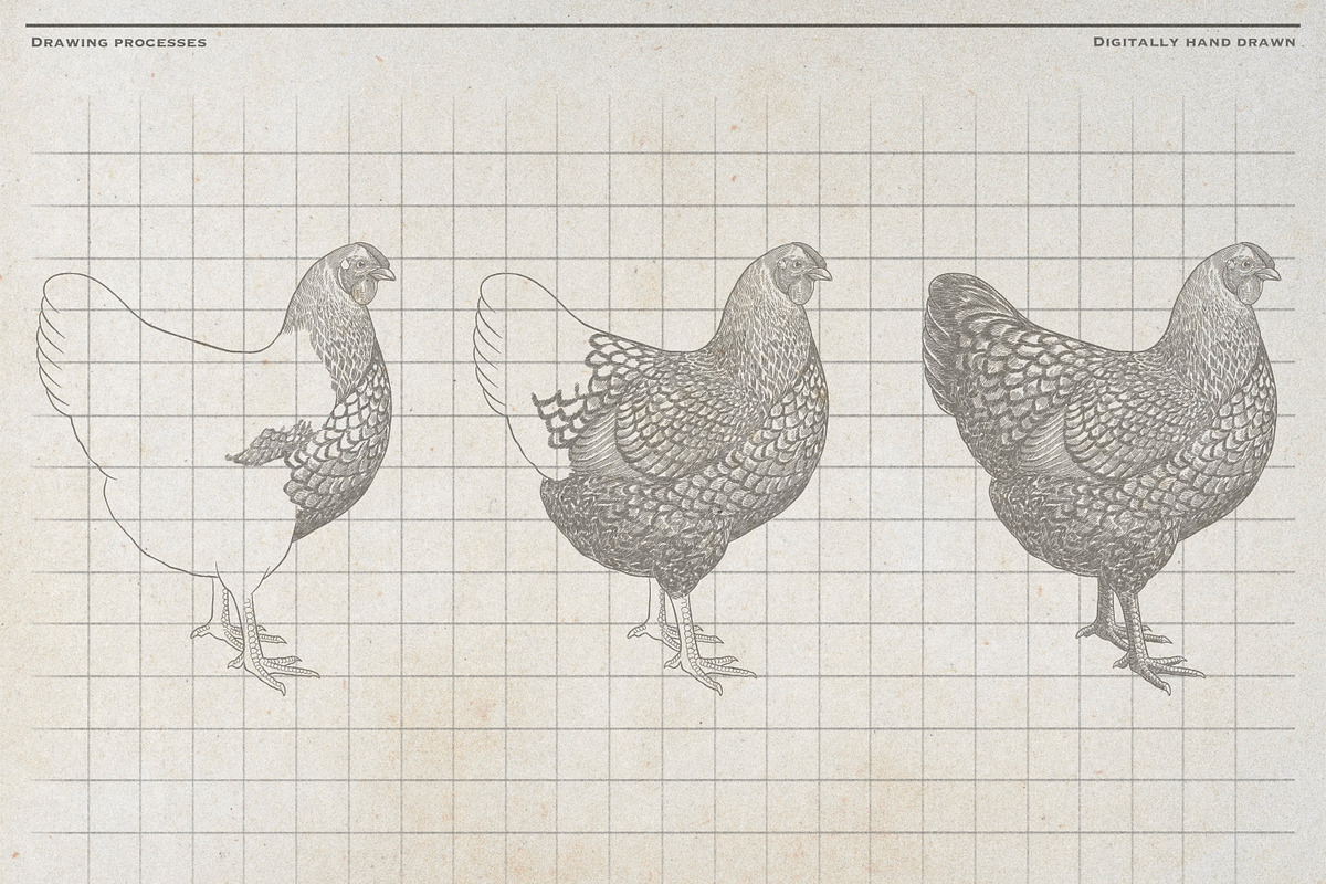 Vintage Poultry Farm Animal Set, an Animal Illustration by Kusumaillustration (Photo 7 of 11)
