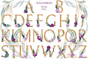 Wild Birds, an Illustration by Salted Galaxy (Thumbnail 2 of 17)