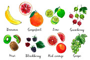 Food watercolor. Fruits and berries, a Food Illustration by irina.vaneeva (Thumbnail 9 of 10)