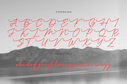 Maffenia Farmales | Monoline Stylish, a Script Font by Denustudios (Thumbnail 10 of 14)