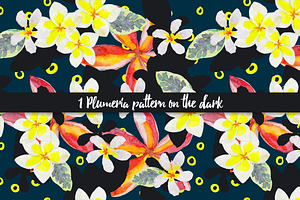 Plumeria. 2 Patterns