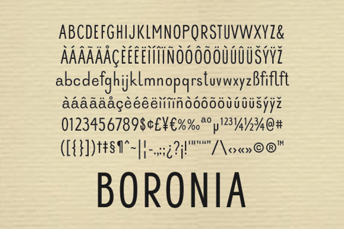 Boronia, a Sans Serif Font by STUDIOWAYS (Photo 7 of 7)