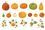 Happy Harvest, a Decorative Illustration by olga.korneeva (Thumbnail 4 of 21)