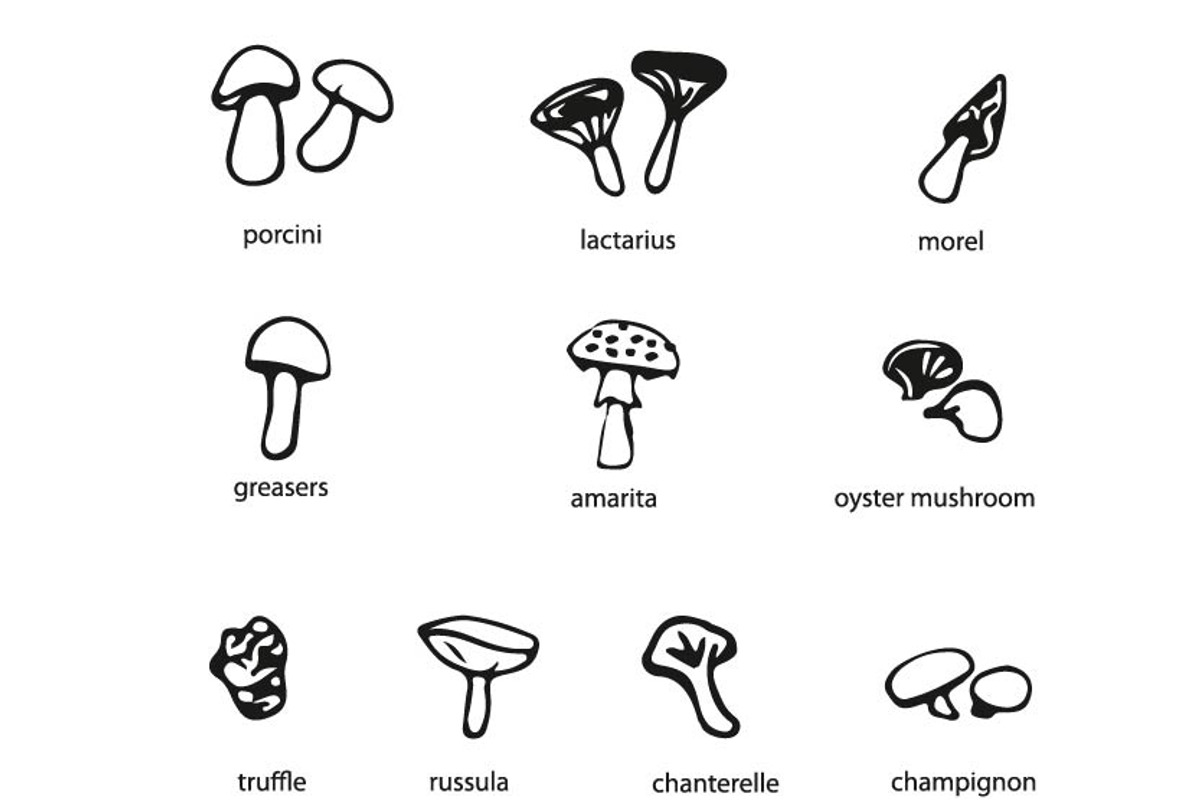 Hand drawn mushrooms clip art set, an Illustration by Svetlana Voloshina (Photo 3 of 3)